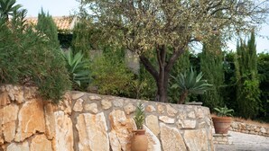 Un mur de pierres avec des plantes en pot et un arbre.