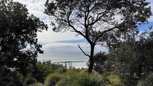 A coastal landscape with a prominent tree in the foreground, a grassy area, and a view of the ocean. - Coast@Culburra -  newly renovated  - luxurious beachfront house with spa (Culburra)