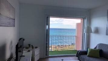 Televisie, een dvd-speler, boeken en een filmbibliotheek