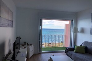 TV, DVD-spiller, bøker og filmbibliotek