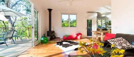 TV connectée, cheminée, lecteur de DVD, livres