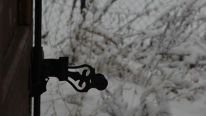 A snowy landscape through a window with a metal gate.