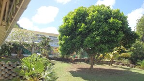 A well-maintained garden with a large tree, a palm plant, and a building in the background. - The Desired Creole House (Sainte Anne)
