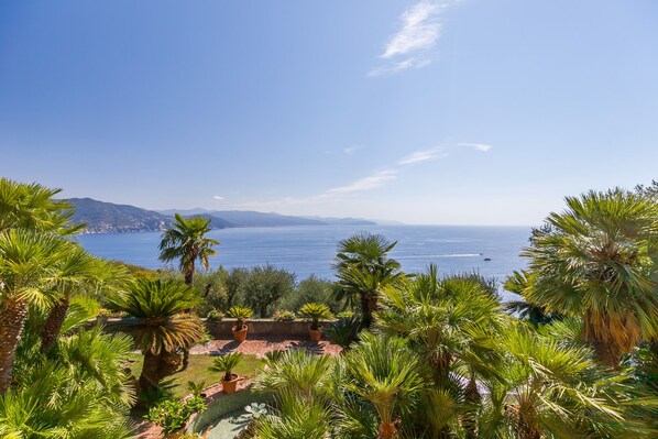 Property grounds - Villa il Sogno in the Park of Mount Portofino (Santa Margherita Ligure)