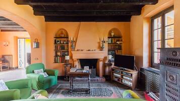 电视、壁炉、书、音乐库