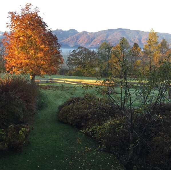 المنطقة المحيطة بالمنشأة