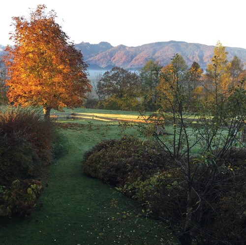 Beautiful, calm 2-room-apartment with big terrace and nice view