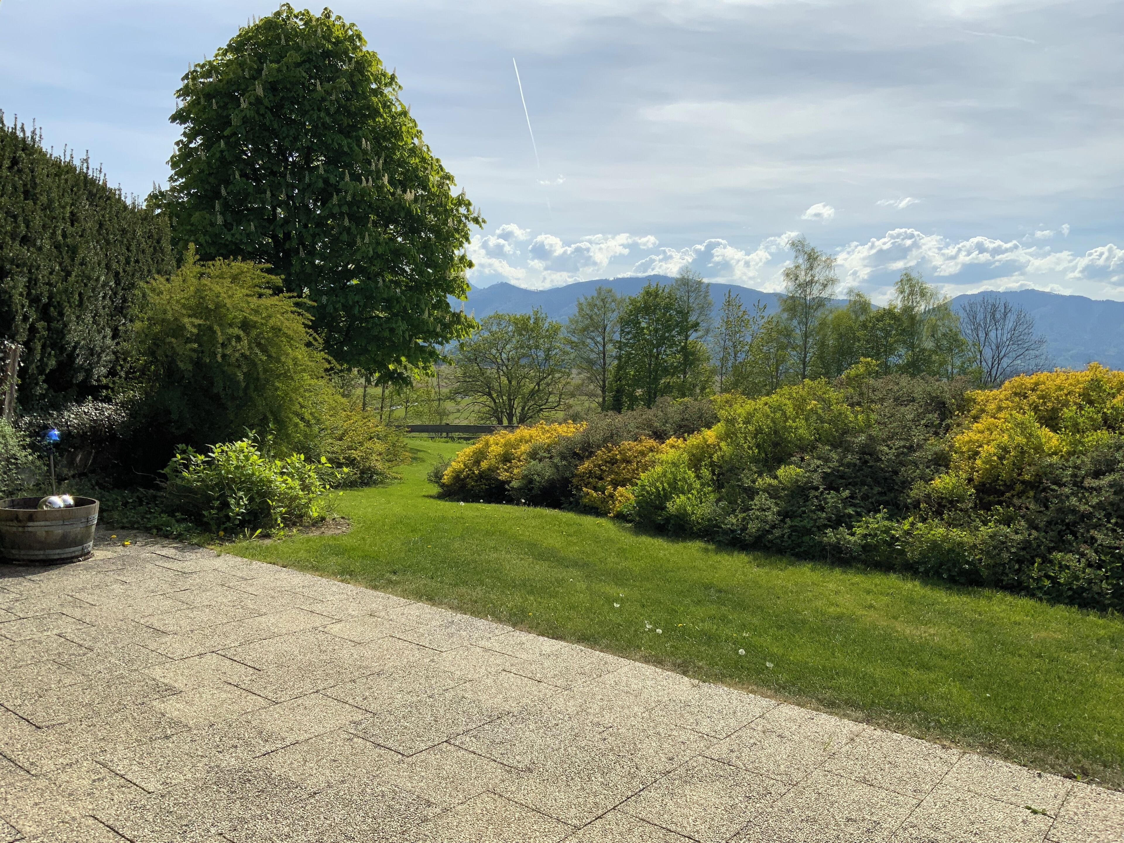 A paved pathway leading through a landscaped garden with various shrubs and trees, and a mountain range in the background.