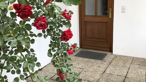 Um arbusto de rosas com flores vermelhas em frente a uma porta de madeira.