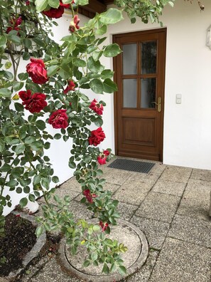 تفاصيل الفندق من الخارج