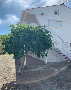 Exterior - CHALET BEACH EDGE IN GRUISSAN (Gruissan Plage)