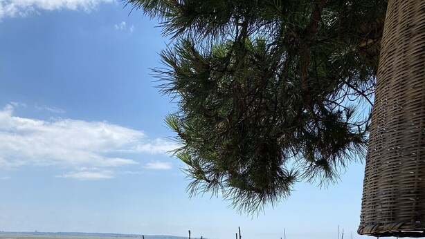 Une table installée sur la plage, avec une bouteille, un verre et une carafe, donnant sur une mer calme où voguent de nombreux bateaux.