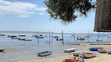 Playa en los alrededores