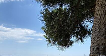 Bassin d'Arcachon House with heated pool