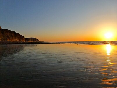 100m from this beach, garden, Prefectoral approval, pets allowed