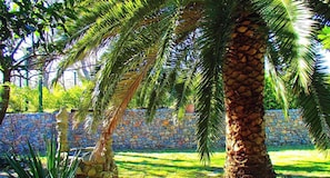 A garden with palm trees, a stone wall, and a clear sky.