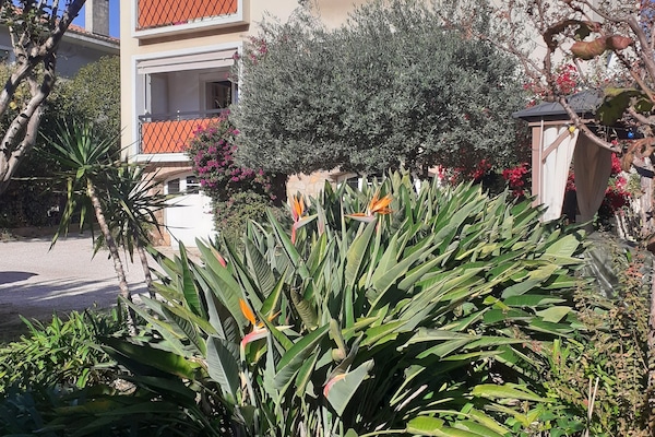 Vue du jardin exposition sud