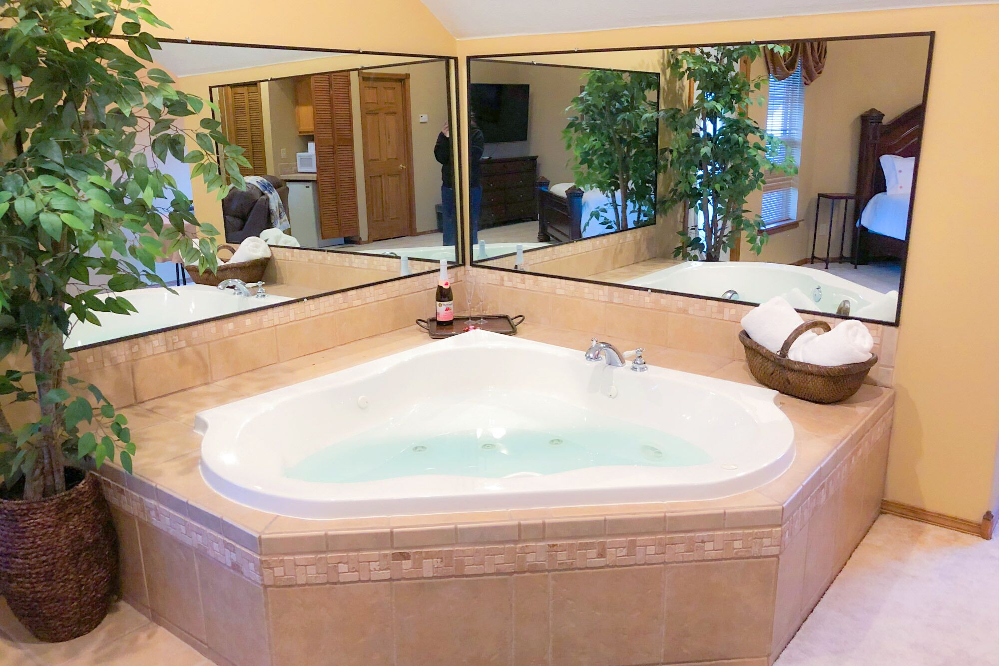 Incredible Setting In The Ozark Mountains ~ Just Minutes From Branson