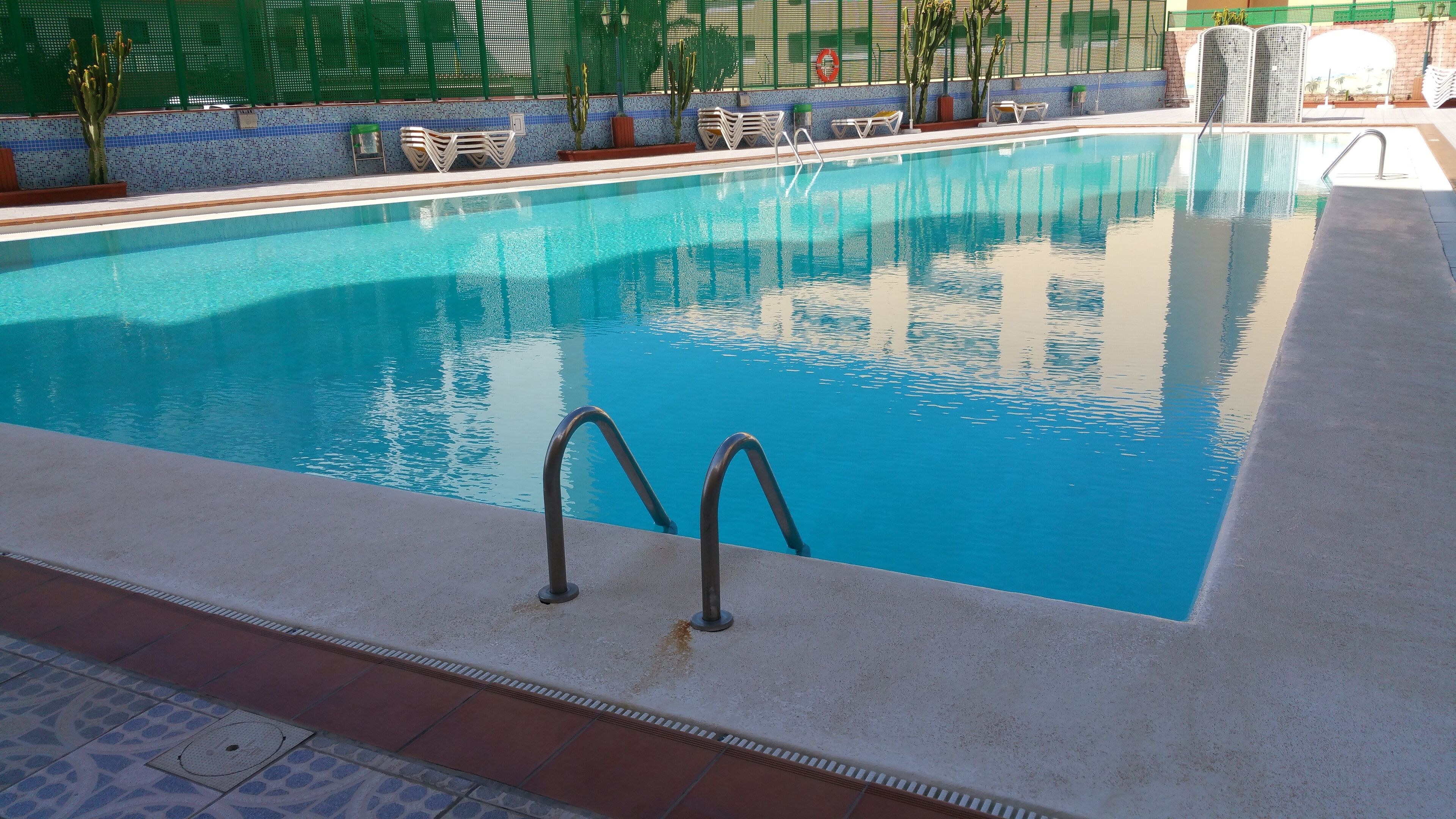 Una piscina rectangular con agua cristalina azul, rodeada por un suelo de baldosas y una cerca verde.