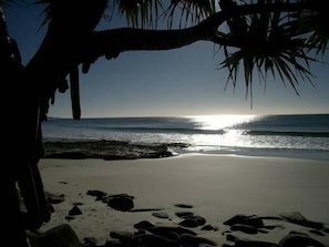 Beach - Angourie Beach House - total ocean views (Angourie)
