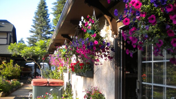 Ein Gebäude mit Blumenampeln und einem sichtbaren Fenster.