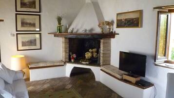 Tv, eldstad och böcker