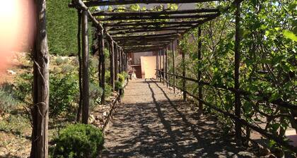 Podere le Monache - entire house in the tuscan hillside with spectacular view