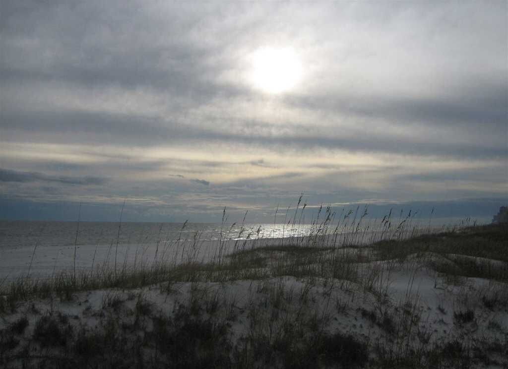 A beach with sand dunes and sparse vegetation.