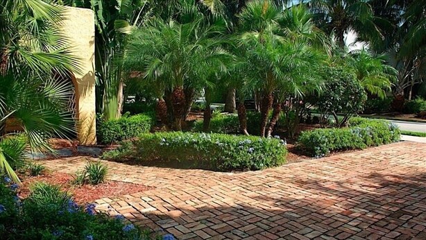 Un chemin de jardin pavé, bordé de palmiers et d’arbustes.