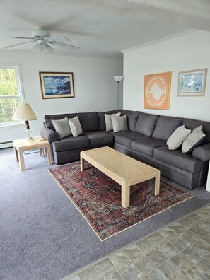 TV, peis, DVD-spiller og bøker