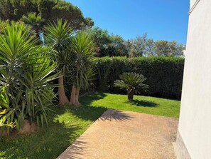 Ein Garten mit Palmen, einer Hecke und einem Betonweg.