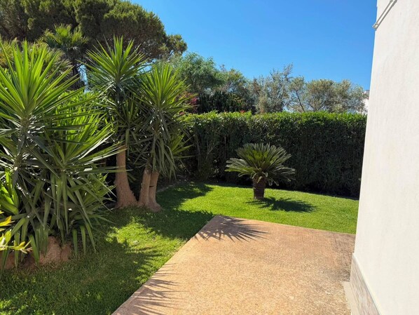 Un jardín con palmeras, un seto y un sendero de hormigón.