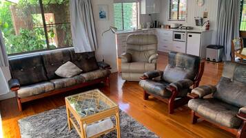 Smart TV, fireplace, DVD player, books