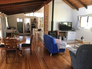 Smart TV, fireplace, DVD player, books