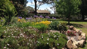 A garden with various flowers and a building in the background. - Cranley Garden Retreat with Fireplace & Pool (Cranley)