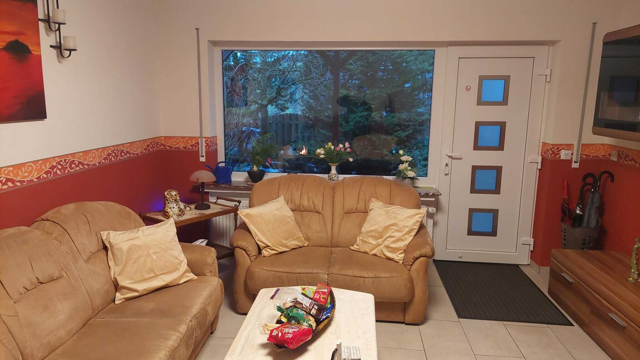 Televisión, chimenea, reproductor de DVD y libros 