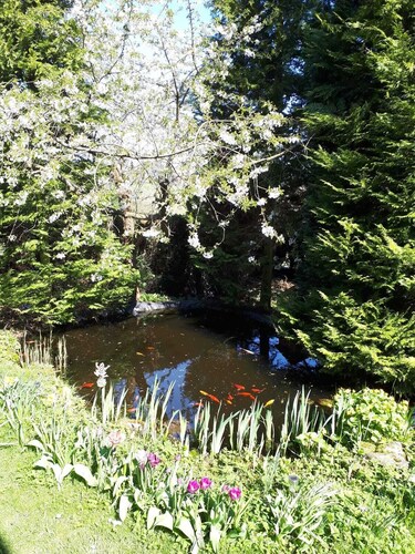 80 m² familienfreundliche, barrierefreie Ferienwohnung,direkt am Golfplatz