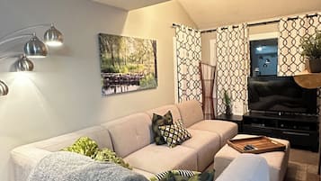 Télévision, cheminée, lecteur de DVD, livres