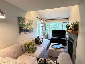 TV, fireplace, DVD player, books