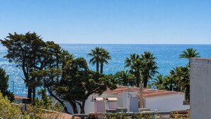 Une vue sur la côte, avec des palmiers, un ciel dégagé et des bâtiments aux toits plats.