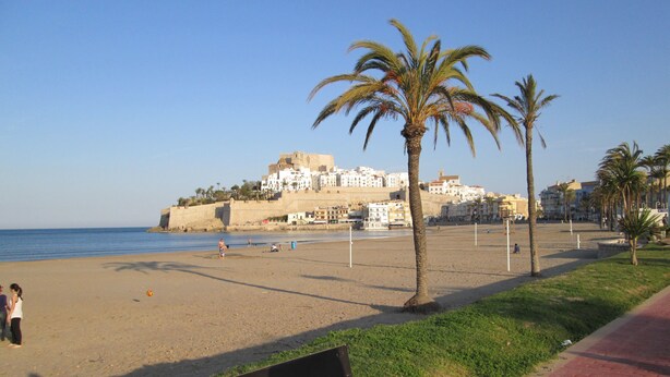 Une plage avec un palmier, un banc et une vue sur un bâtiment historique situé de l’autre côté de l’eau.