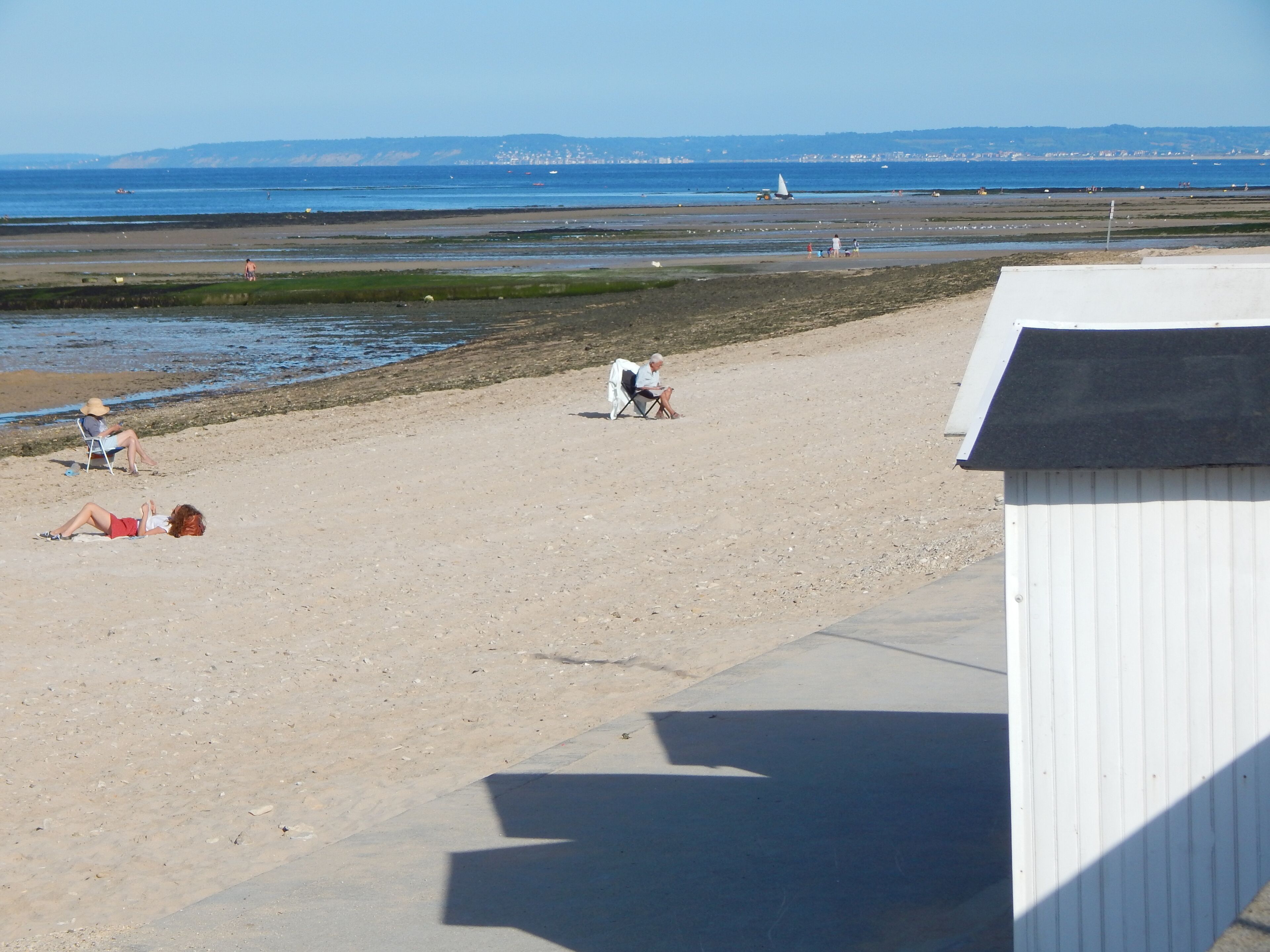 在海灘附近、躺椅