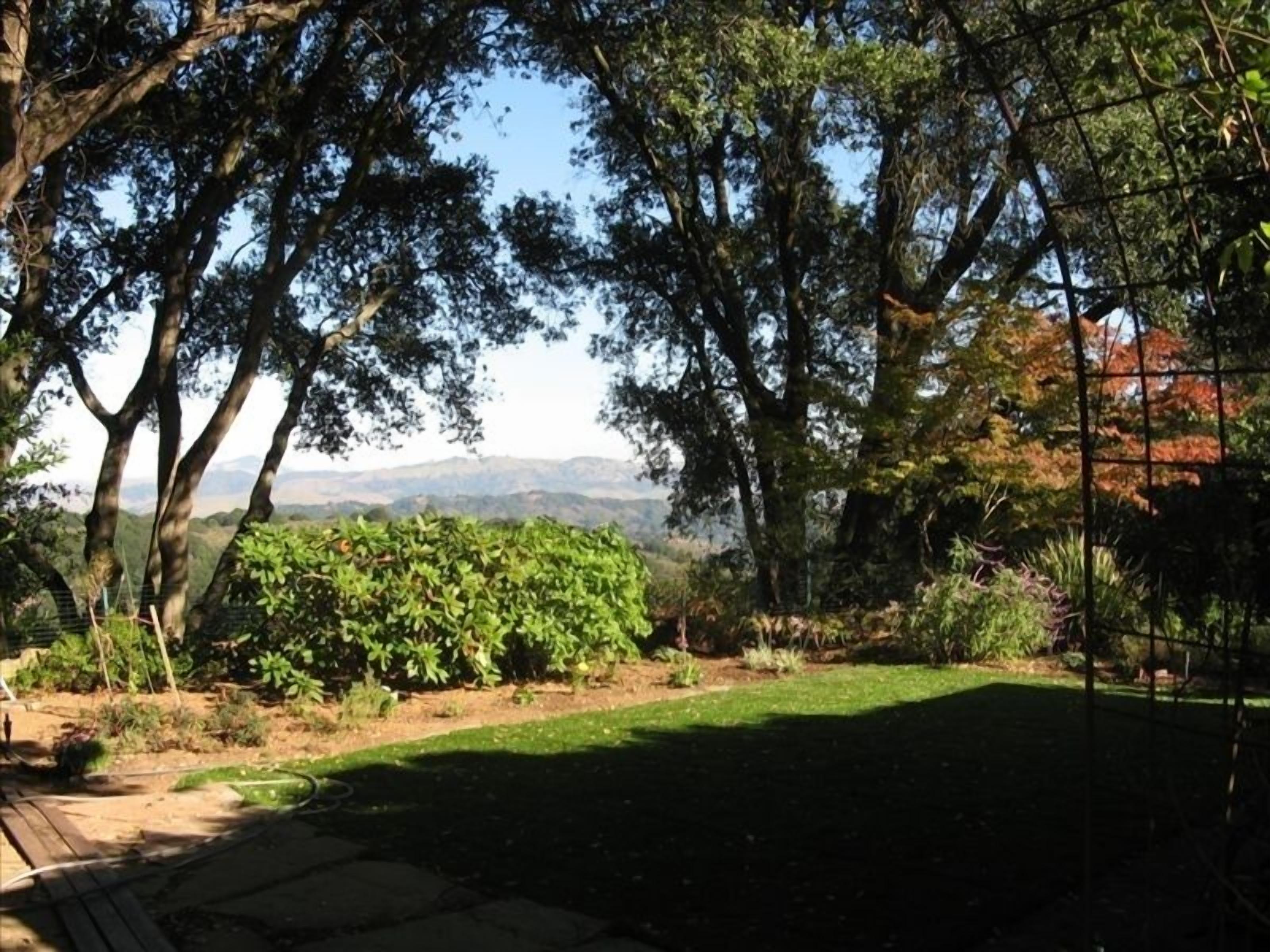 Surrounded by the Park Yet Close to Everything! Views from all windows!