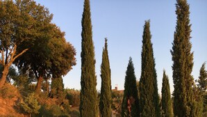 A stone staircase leading up a hill with a view of a clear sky and trees. - Holiday home for 8 people (Vénéjan)
