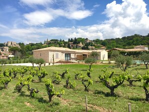 A vineyard with rows of grapevines and a stone building with a tiled roof in the background.
