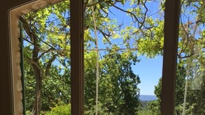 Vista desde una habitación con ventana a un patio con piscina, paredes de piedra y plantas en macetas.