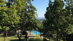 Un sendero de piedra que conduce a una zona de piscina rodeada de árboles exuberantes.