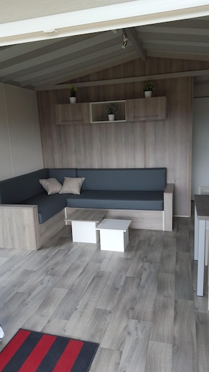 Televisión, reproductor de DVD y tenis de mesa