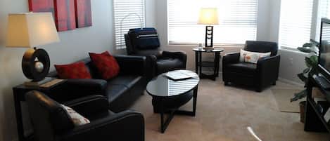 TV, DVD player, books, video library