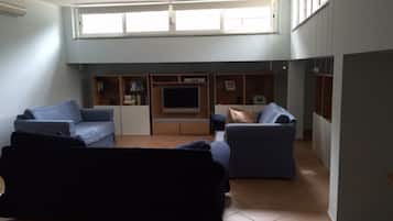 TV, video games, DVD player, books